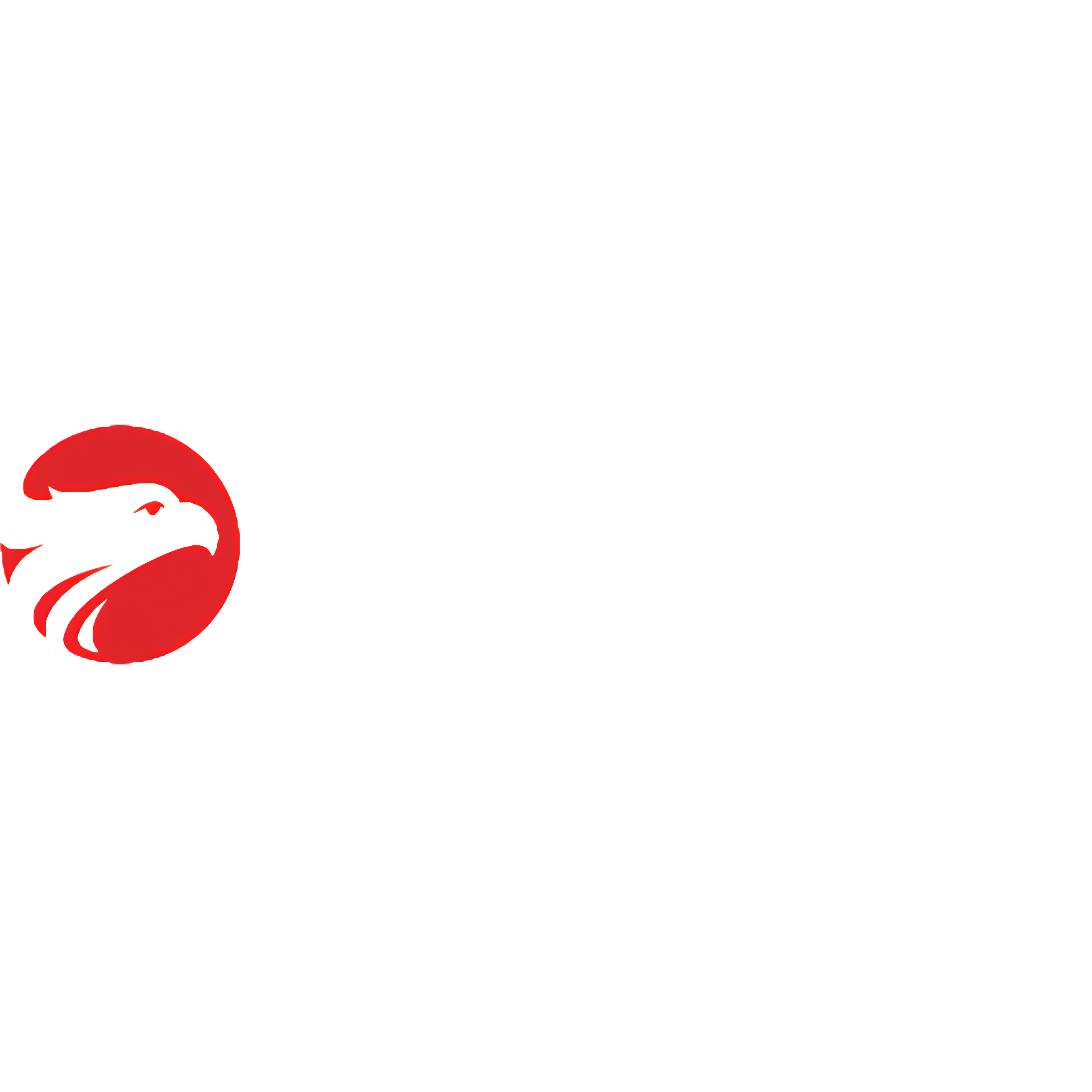 Wizard